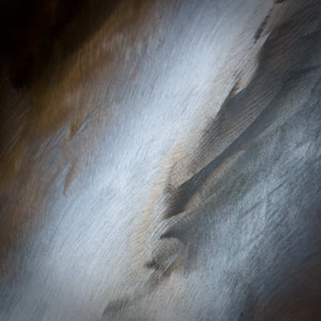  * Metal Feather - 3
2012 
International Photography Awards Honorable Mention - Fine Art / Abstract , non pro ( Los Angeles , USA ) :  : LEO PELLETIER PHOTOGRAPHY | montreal, canada