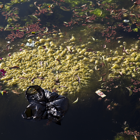 Troubled Water - 2
2012
Px3 Paris Nature Environment Non Pro , Honorable Mention
Paris, France
2012    
 International Photography Awards Honorable Mention - Fine Art / Abstract , non pro ( Los Angeles , USA ) :  : LEO PELLETIER PHOTOGRAPHY | montreal, canada